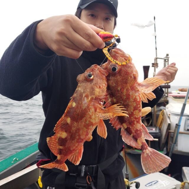 アラカブ(カサゴ)