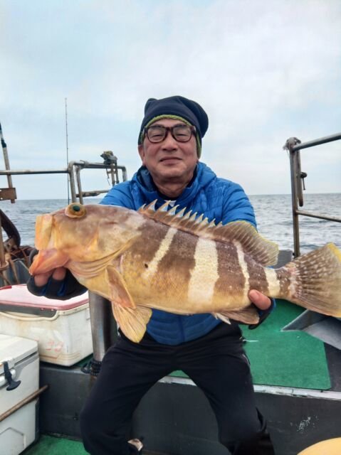 アオナ(アオハタ)