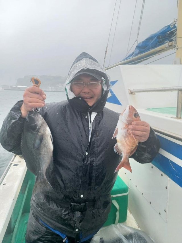 マダイ・メジナ