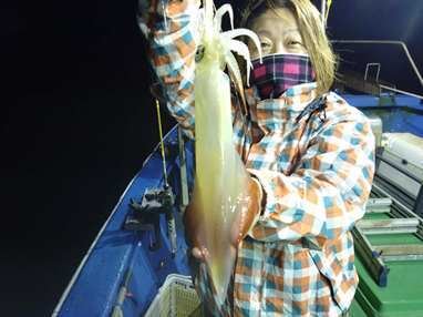 マイカ(ケンサキイカ)