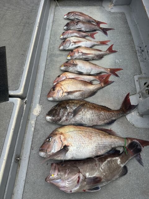 マダイ・マハタ