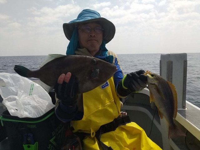 イサキ・ウマヅラハギ