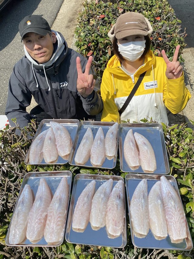 ショウサイフグ