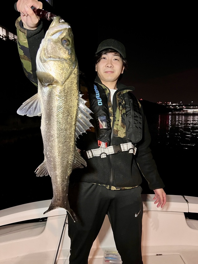 シーバス(スズキ)