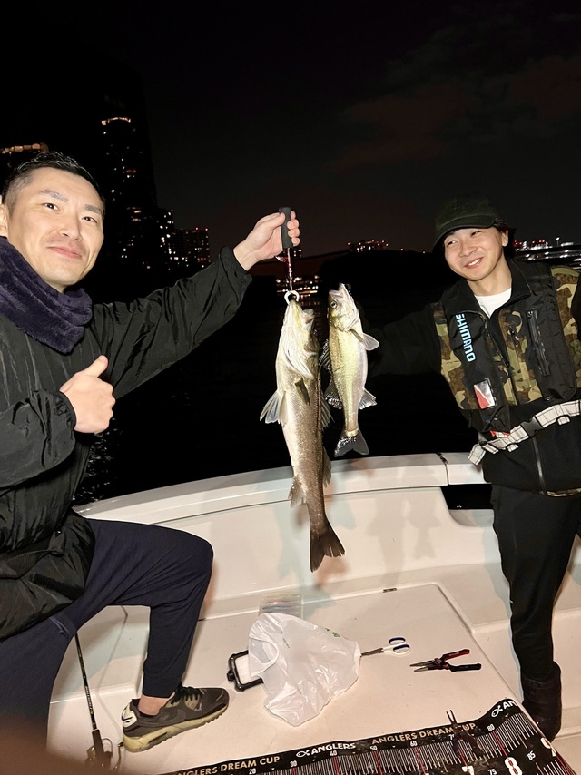 シーバス(スズキ)