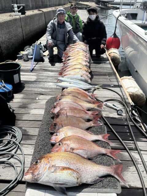 マダイ・ハマチ(ブリ)