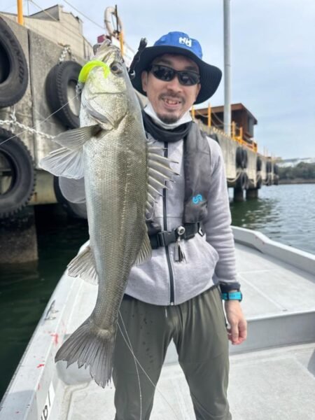 シーバス(スズキ)