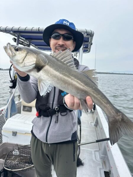 シーバス(スズキ)