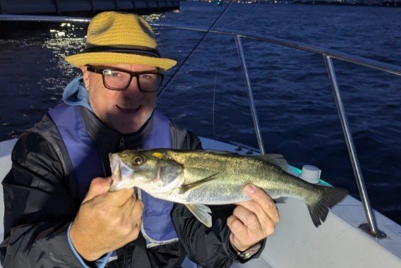 シーバス(スズキ)