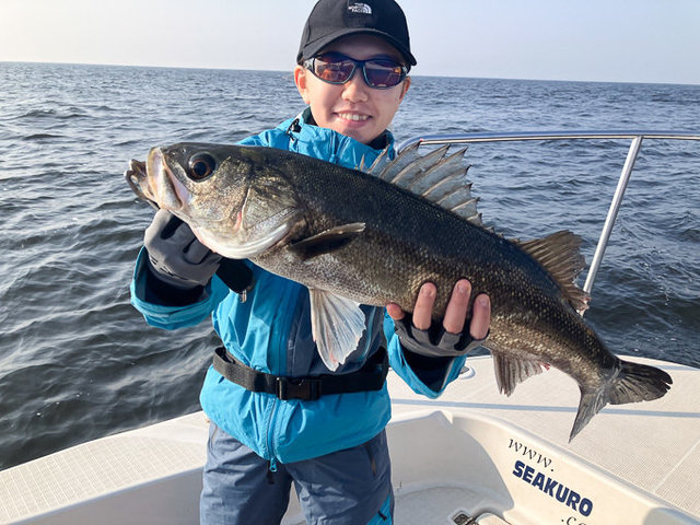 シーバス(スズキ)