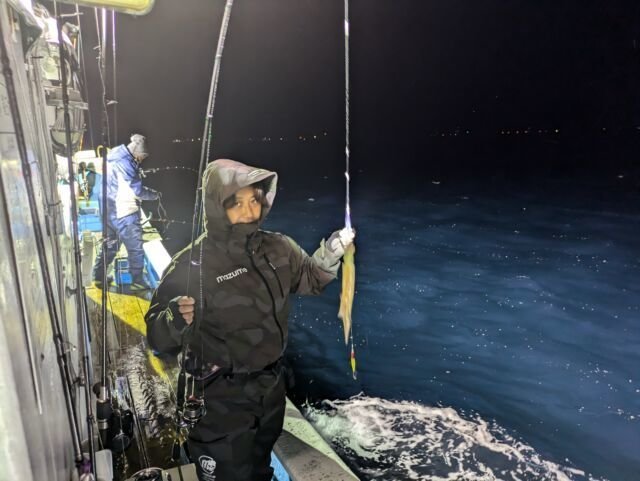 マイカ(ケンサキイカ)