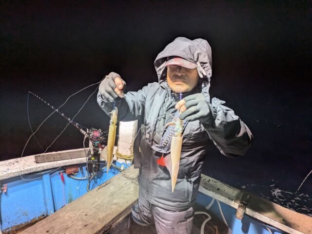 マイカ(ケンサキイカ)