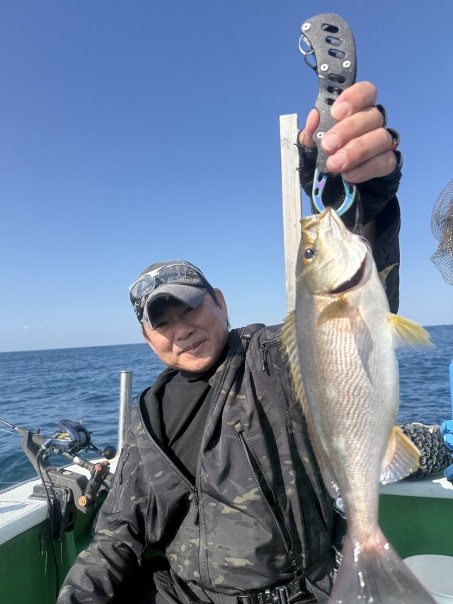 イサギ(イサキ)