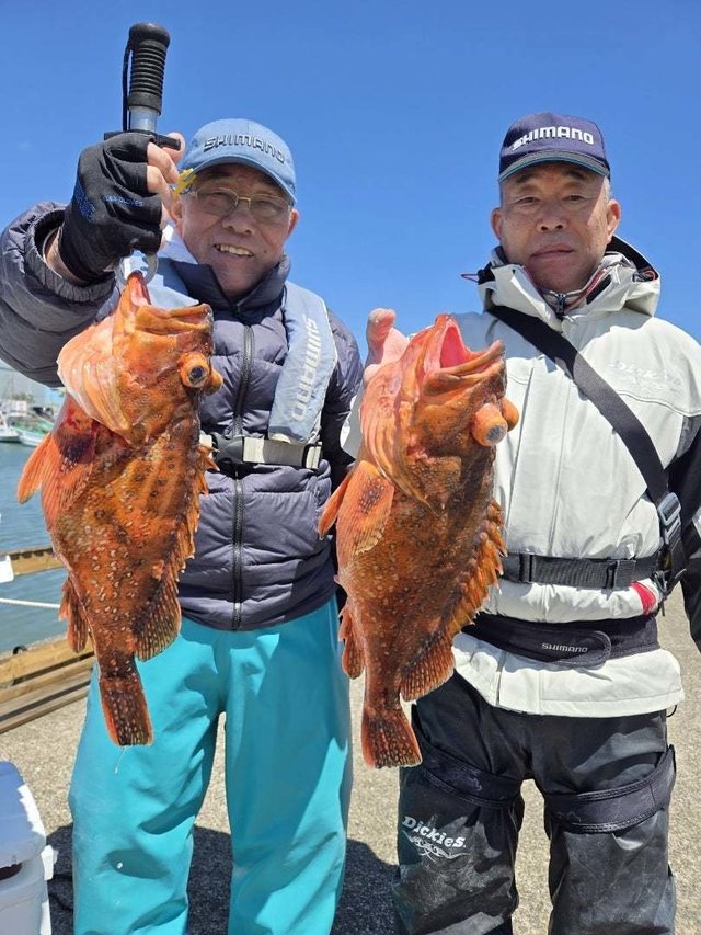 ウッカリカサゴ