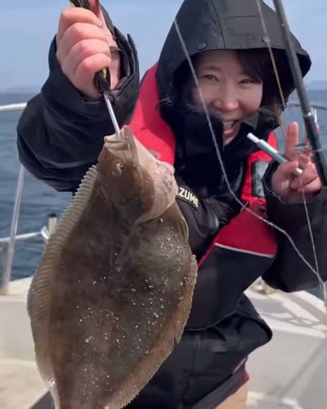 カレイ(マコガレイ)