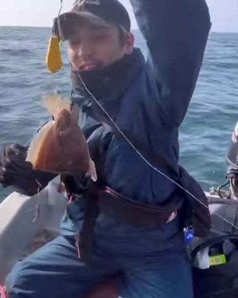 カレイ(マコガレイ)