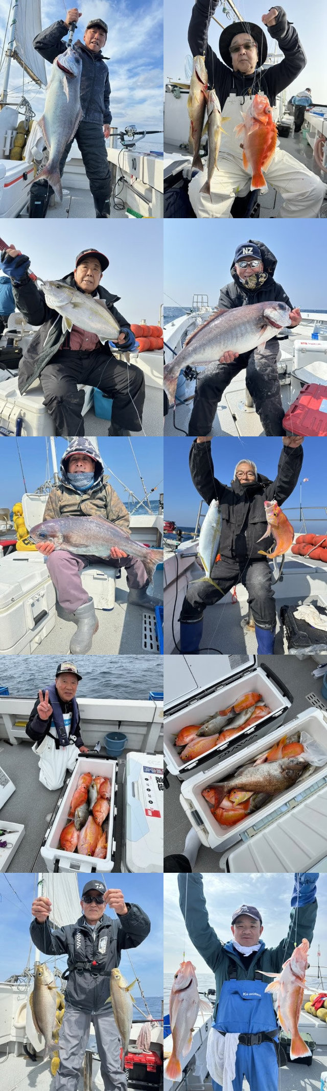 ハマチ(ブリ)・イサキ・メダイ