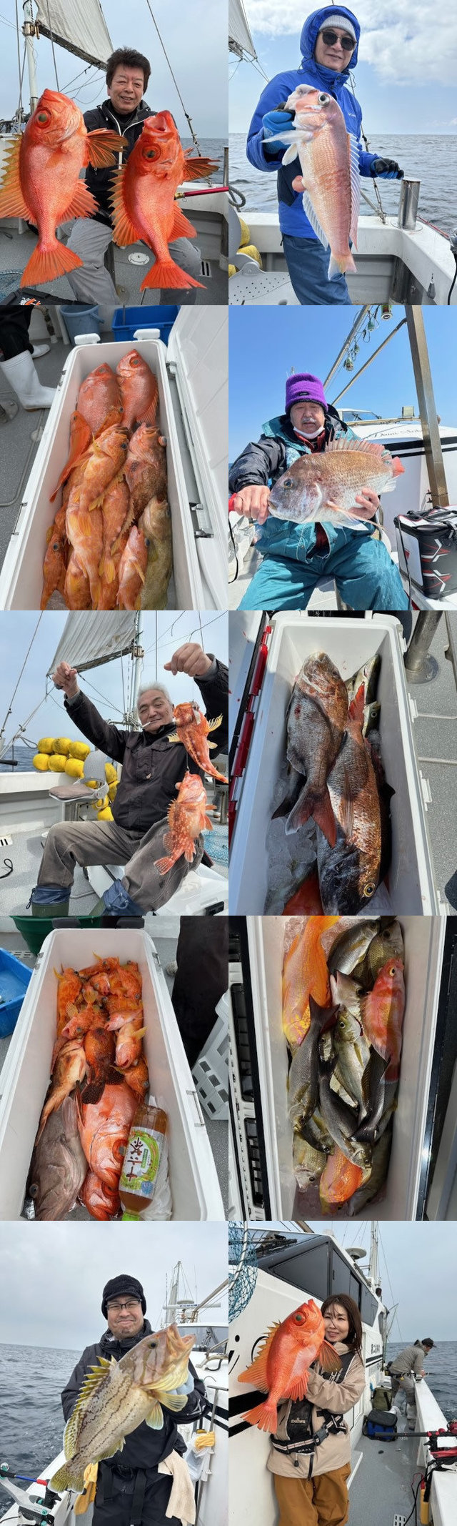 マダイ・マハタ・イヤゴハタ・キジハタ・イサキ・アマダイ(アカアマダイ)・チカメキントキ・カサゴ