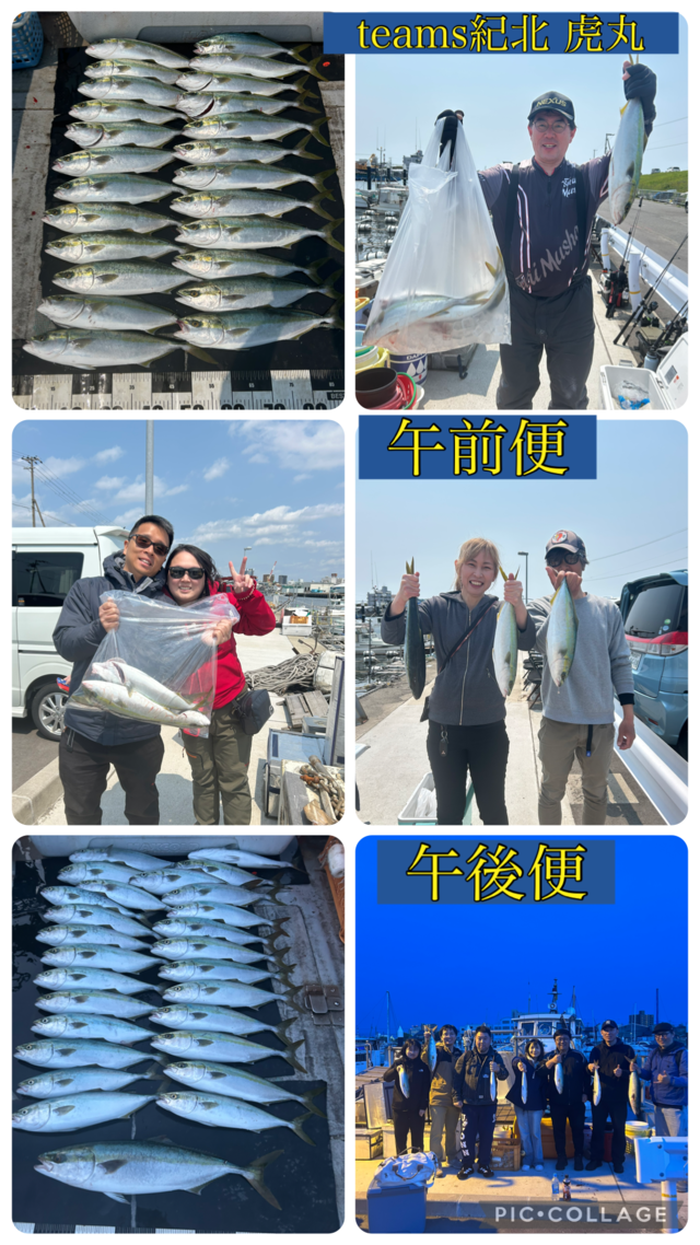 ハマチ(ブリ)・メジロ(ブリ)