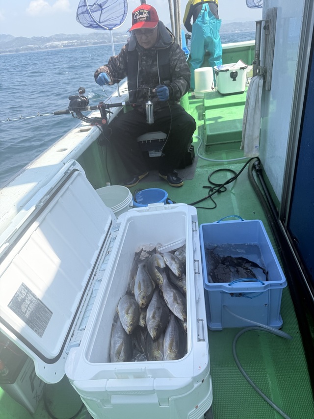 イサギ(イサキ)