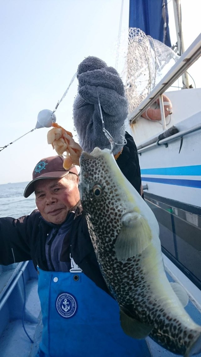 ショウサイフグ