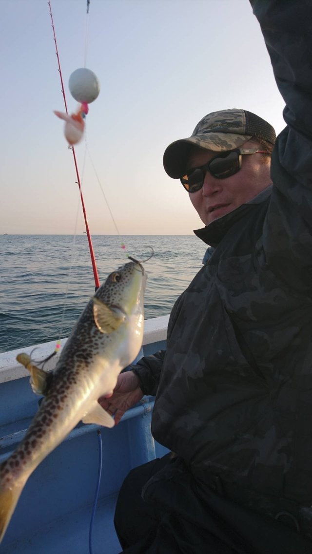 ショウサイフグ