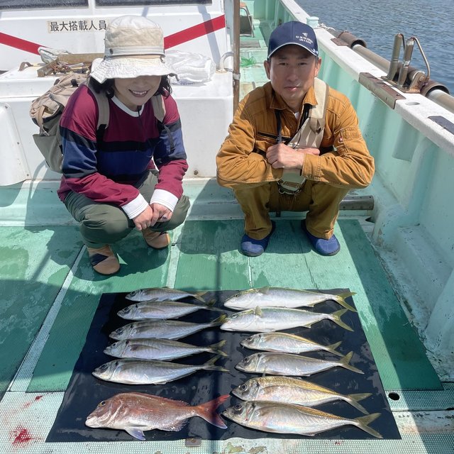 マダイ・マアジ・ハマチ(ブリ)