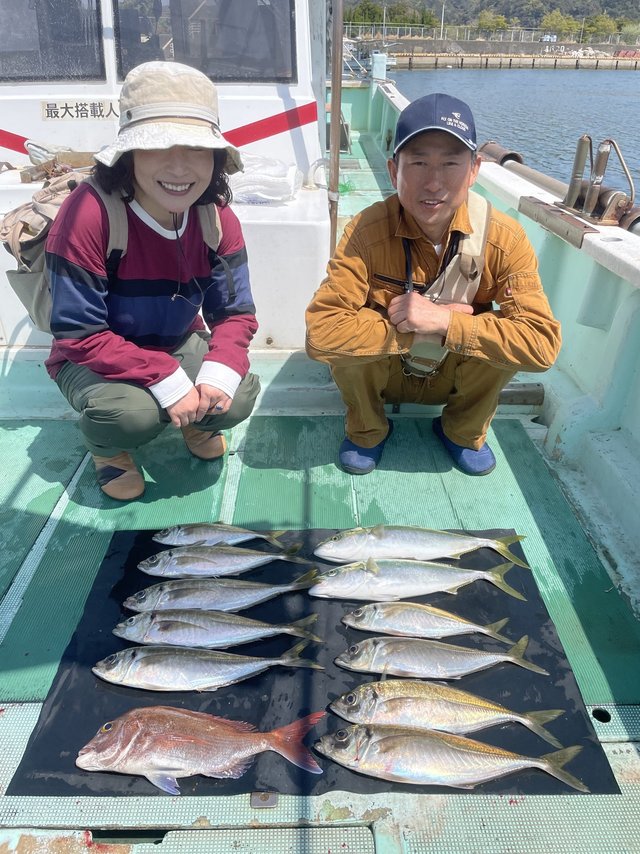 マダイ・マアジ・ハマチ(ブリ)