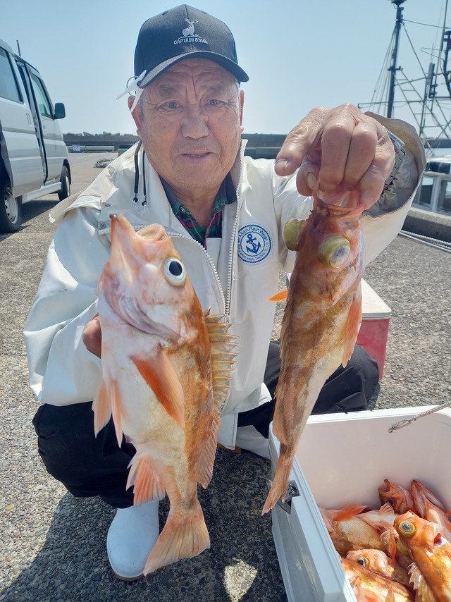 オキメバル(ウスメバル)