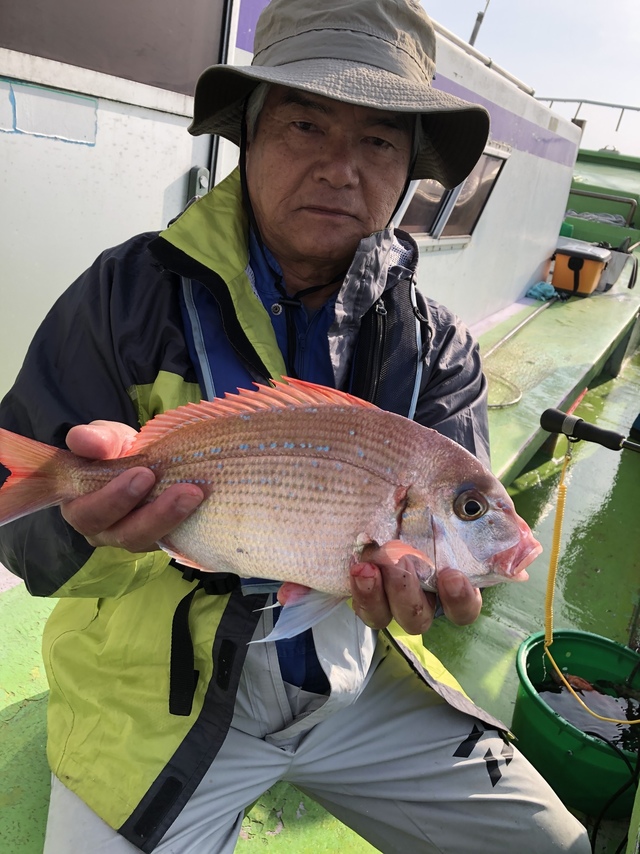 ハナダイ(チダイ)