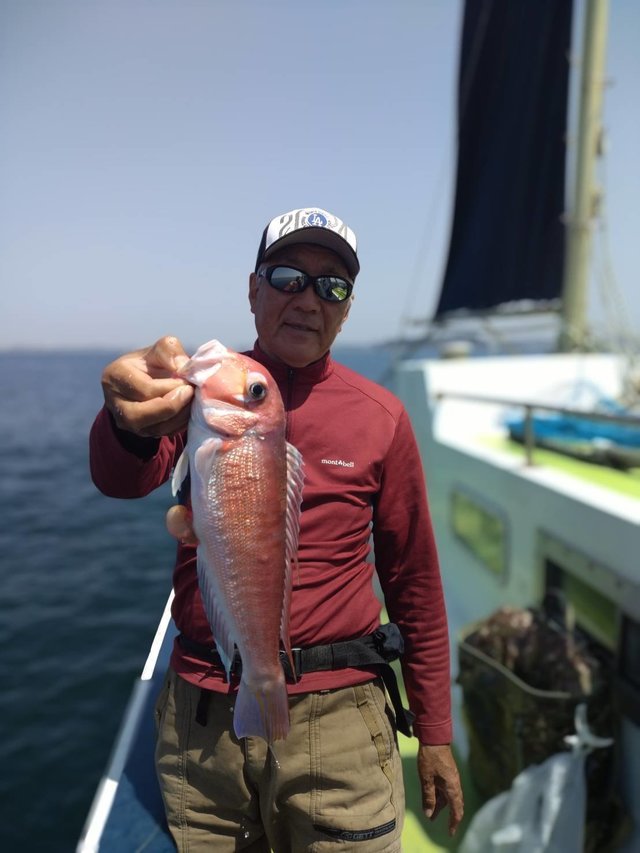 アマダイ(アカアマダイ)