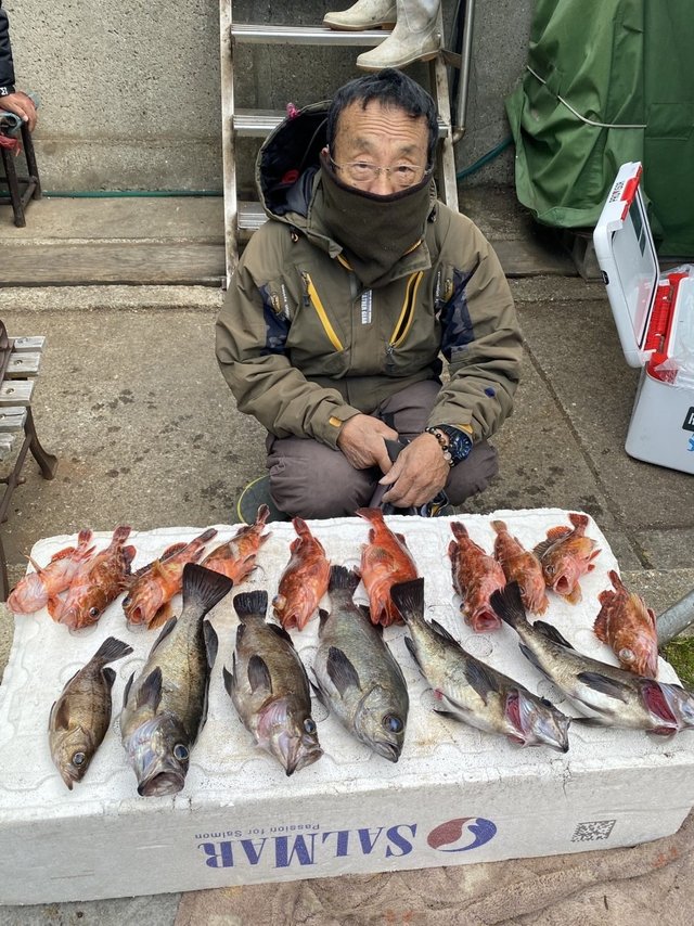 ガシラ(カサゴ)・メバル