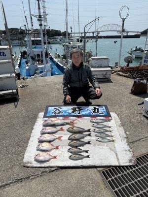 マダイ・チダイ・マアジ・イサギ(イサキ)