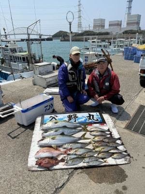 マダイ・マアジ・ブリ・メジロ(ブリ)・イサギ(イサキ)