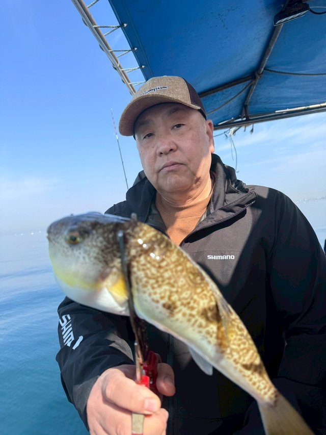 フグ(ショウサイフグ)