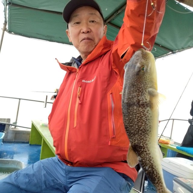 フグ(ショウサイフグ)