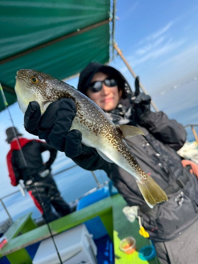 フグ(ショウサイフグ)