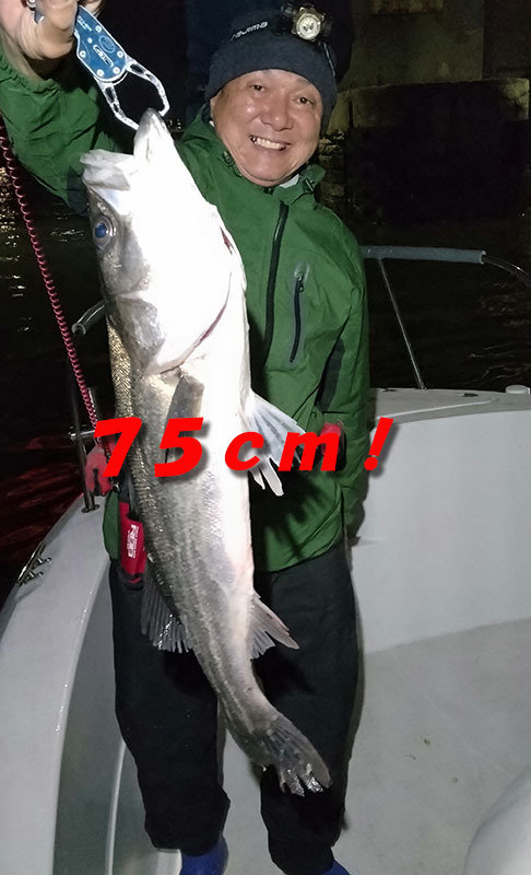 シーバス(スズキ)