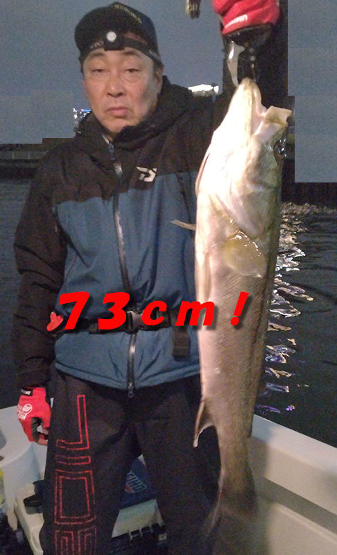 シーバス(スズキ)