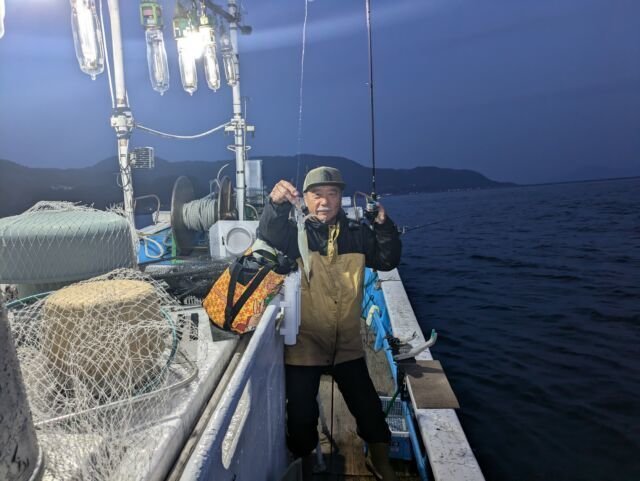 マイカ(ケンサキイカ)