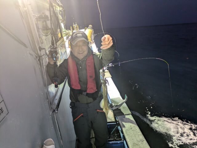 マイカ(ケンサキイカ)