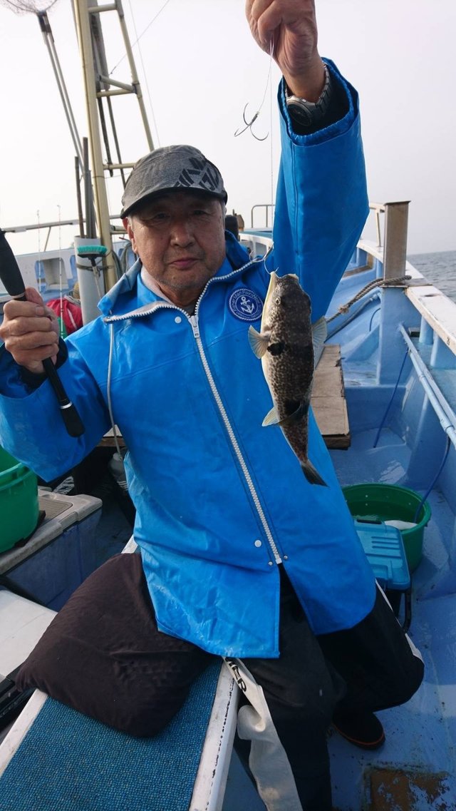 ショウサイフグ