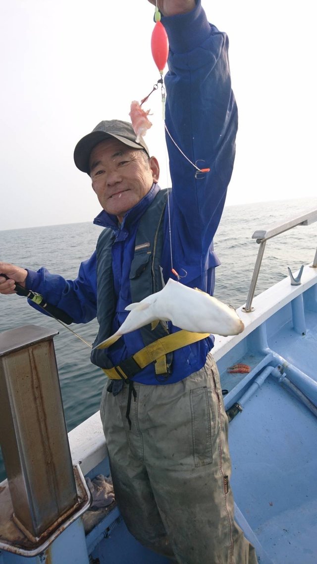 ショウサイフグ