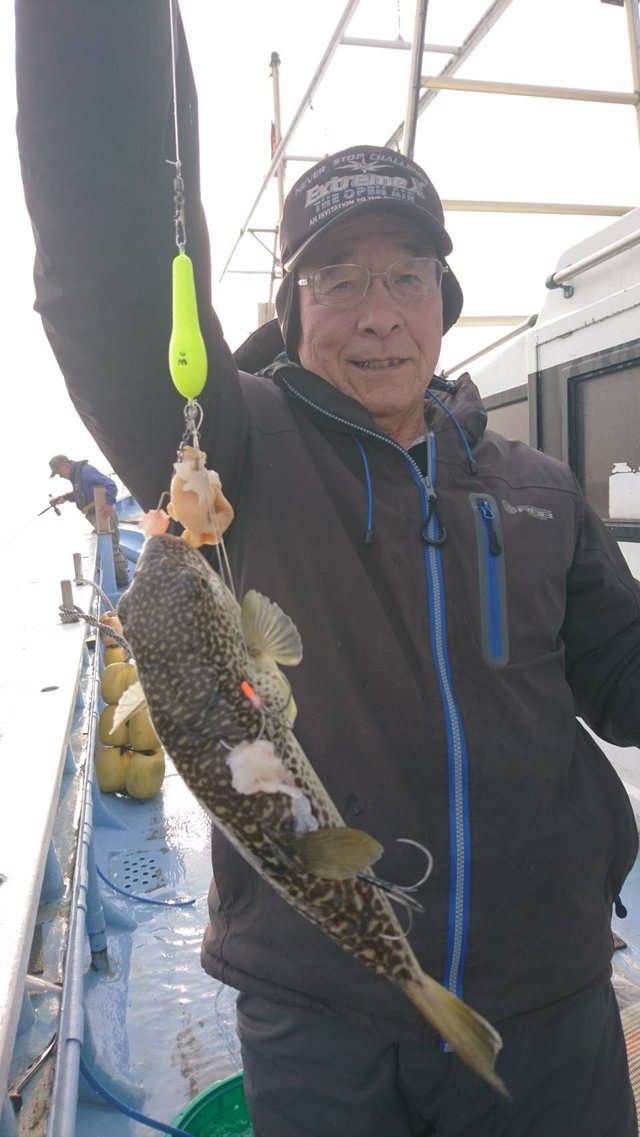 ショウサイフグ