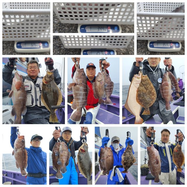 マハタ・ヒラメ