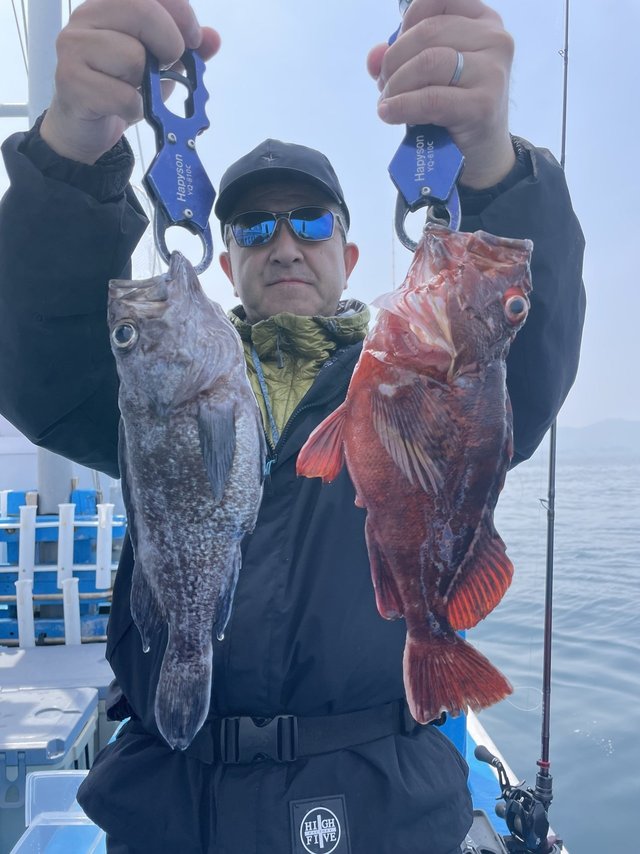 カサゴ・マゾイ(キツネメバル)