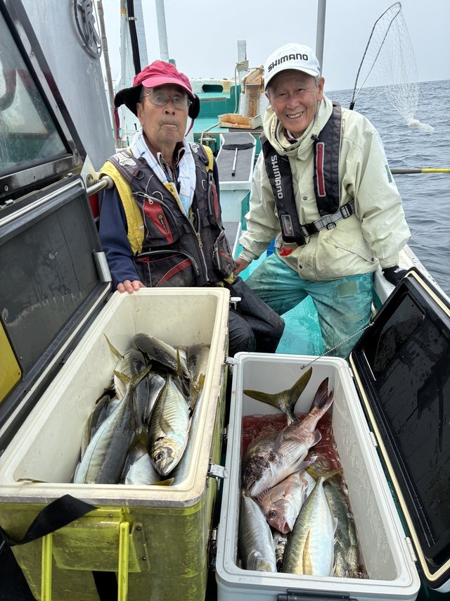 マダイ・マアジ