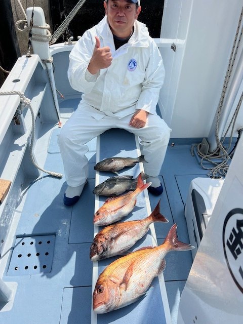 マダイ・メジナ