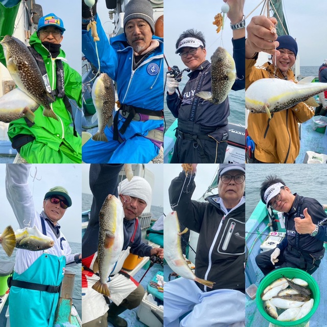 ショウサイフグ