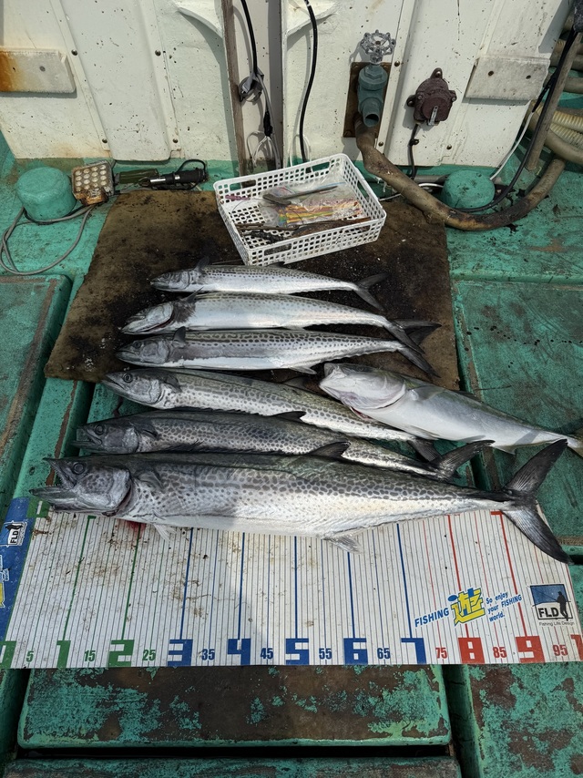 ハマチ(ブリ)・サワラ